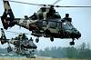 Click image for larger version

Name:	Harbin Z-9- attack-helicopter 1.jpg
Views:	2528
Size:	59.6 KB
ID:	12398