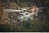 Click image for larger version

Name:	Brazil SUPER COUGAR H225M UNIT 129.jpg
Views:	197
Size:	88.7 KB
ID:	15117