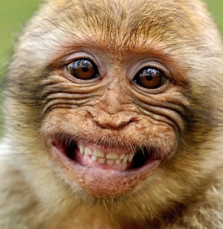 Name: Unbenannt.jpg
Views: 1727
Size: 74.2 KB