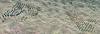 Click image for larger version

Name:	Oceania trumps Rlyeh2.jpg
Views:	100
Size:	57.6 KB
ID:	7475