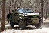 Click image for larger version

Name:	SandCat ready to pounce..jpg
Views:	196
Size:	7.9 KB
ID:	9242