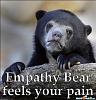 Click image for larger version

Name:	empathybear.jpg
Views:	51
Size:	57.1 KB
ID:	10698
